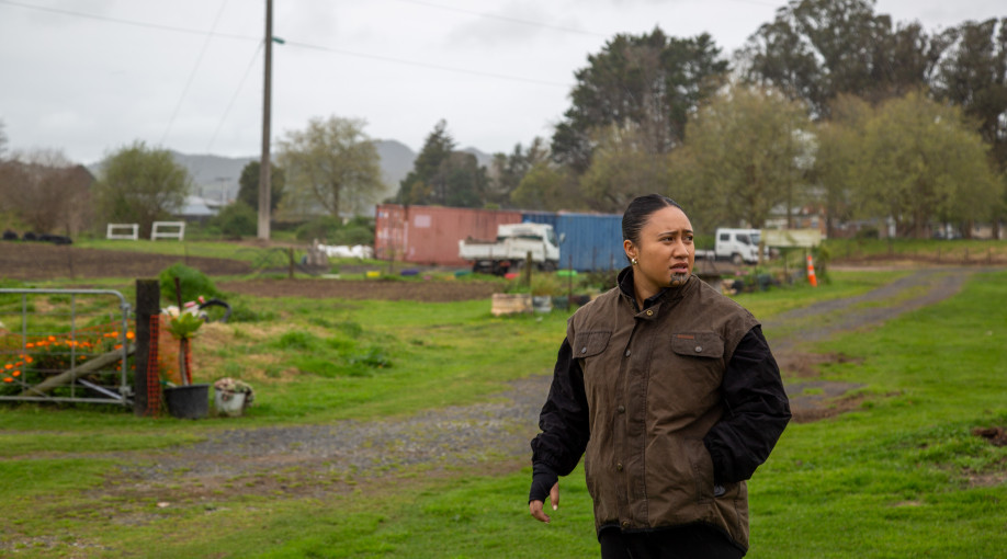 Nature therapy: Everywhere I go, nature finds me