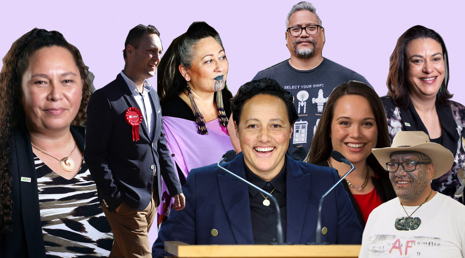 Meet your new Māori MPs 