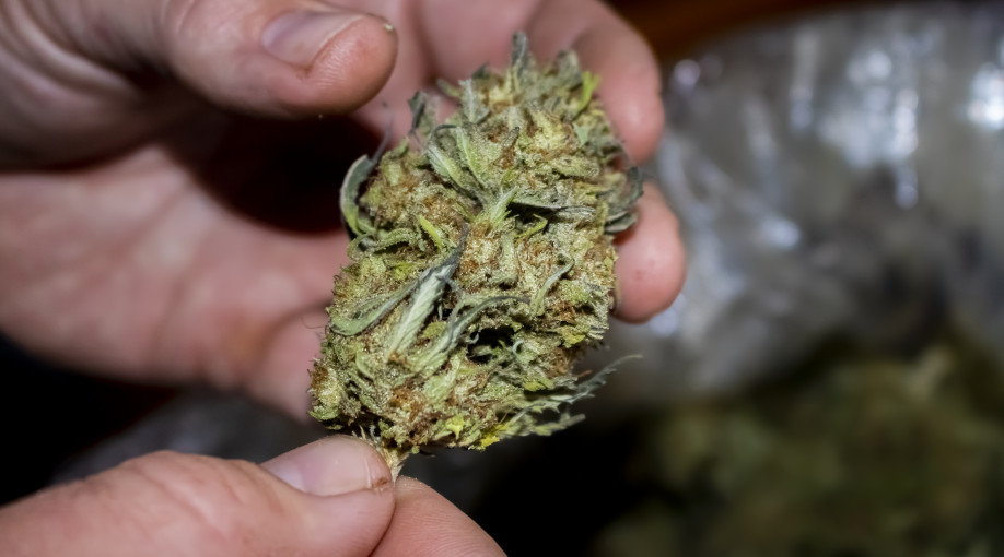 A weed dealer on the constant threat of violence that comes with the job