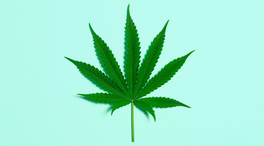 Explainer: the cannabis referendum that could make weed legal in New Zealand