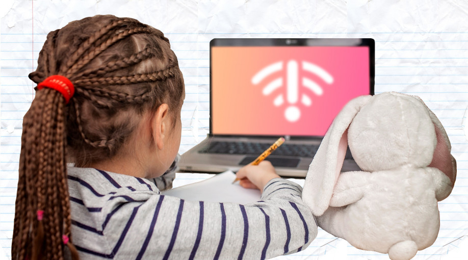 Covid proved having no access to internet is dangerous in NZ