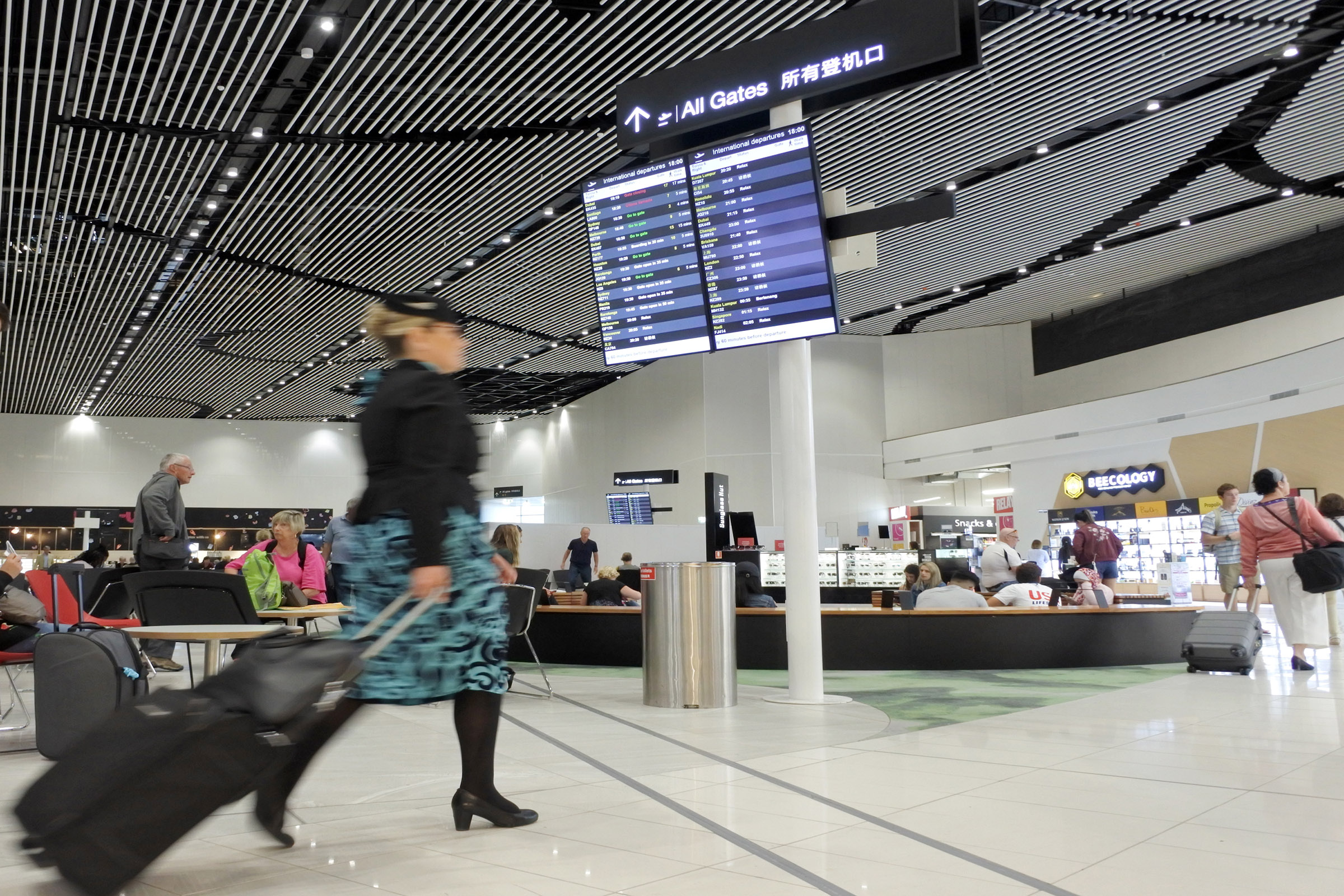 Demand for air travel continues to grow in NZ, with Air New Zealand's greenhouse gas emissions increasing by 22% over the past decade. Demand for air travel continues to grow in NZ, with Air New Zealand's greenhouse gas emissions increasing by 22% over the past decade.