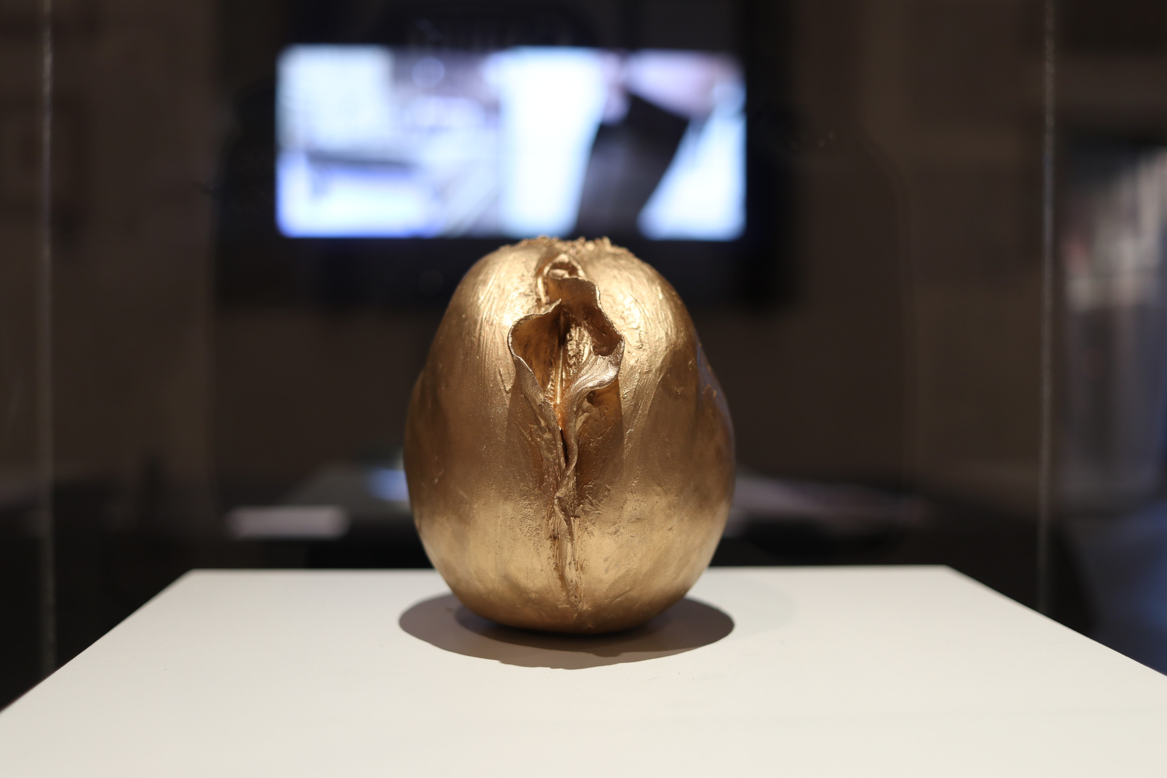 The Golden Vulva, Jordan Quinn