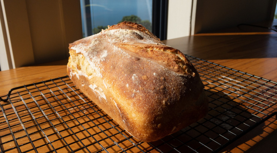 What bread says about our food security