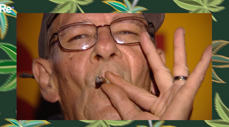 Cannabis users tell us why they smoke and how legalising might impact them