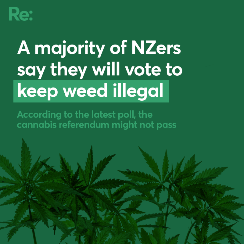 WEED POLL WEB FB 01